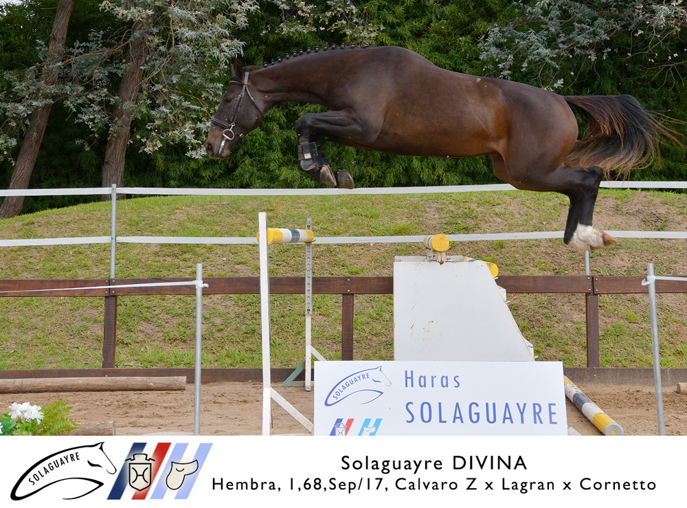 SOLAGUAYRE DIVINA